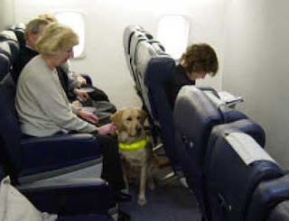 alaska airlines service animal