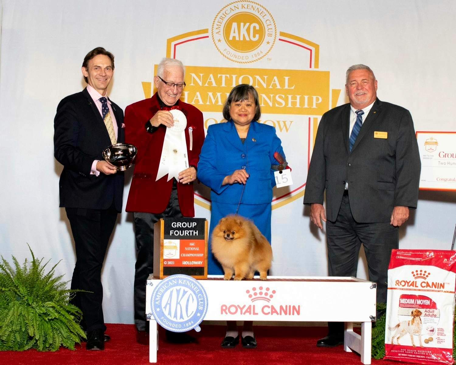 Akc owner hot sale handler
